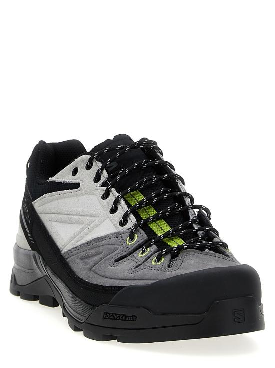 X-ALP LTR