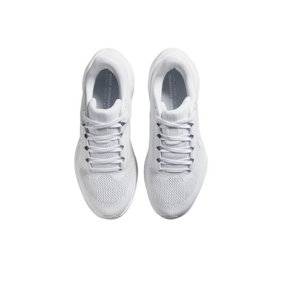 PEGASUS 41
