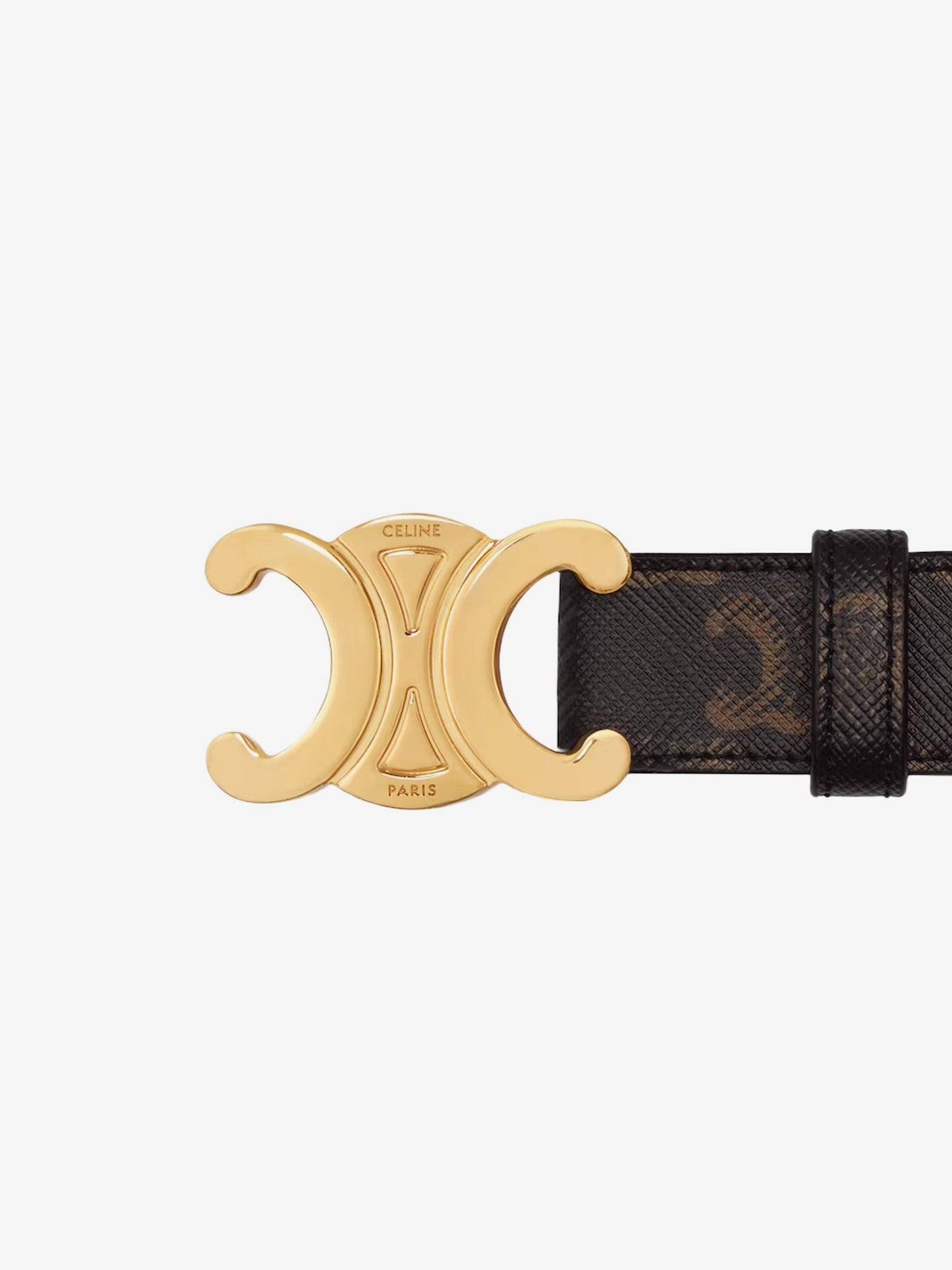 Triomphe coated canvas belt