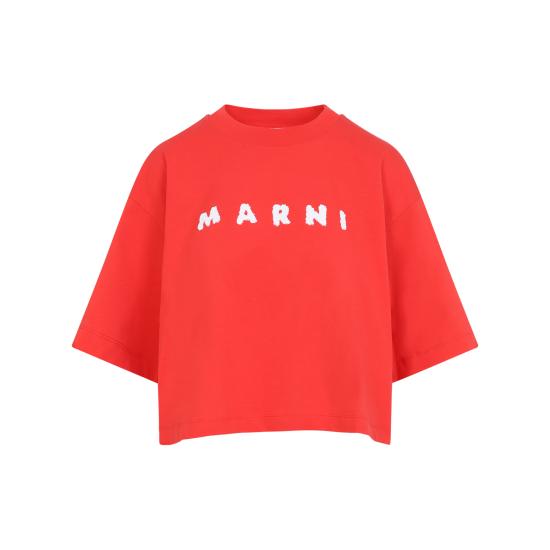 Short -sleeved t -shirt