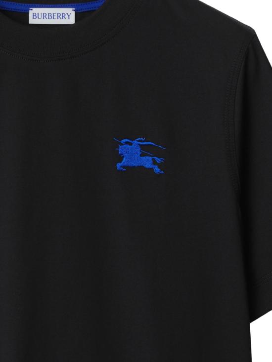 Short -sleeved t -shirt