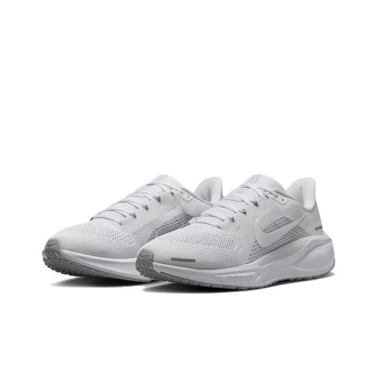 PEGASUS 41