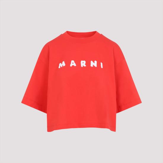 Short -sleeved t -shirt