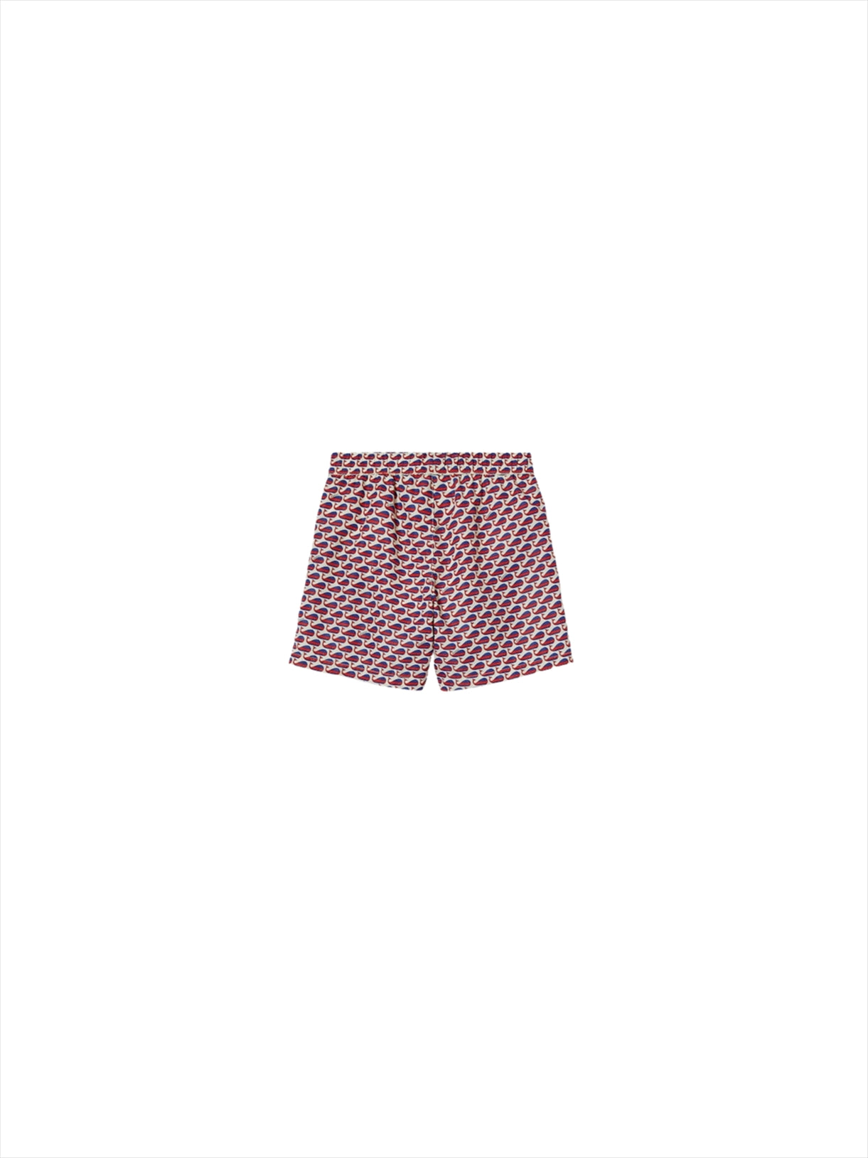 Swim Boxer