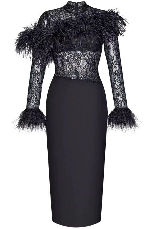 ASYMMETRIC FEATHER LACE AND CREPE DRESS