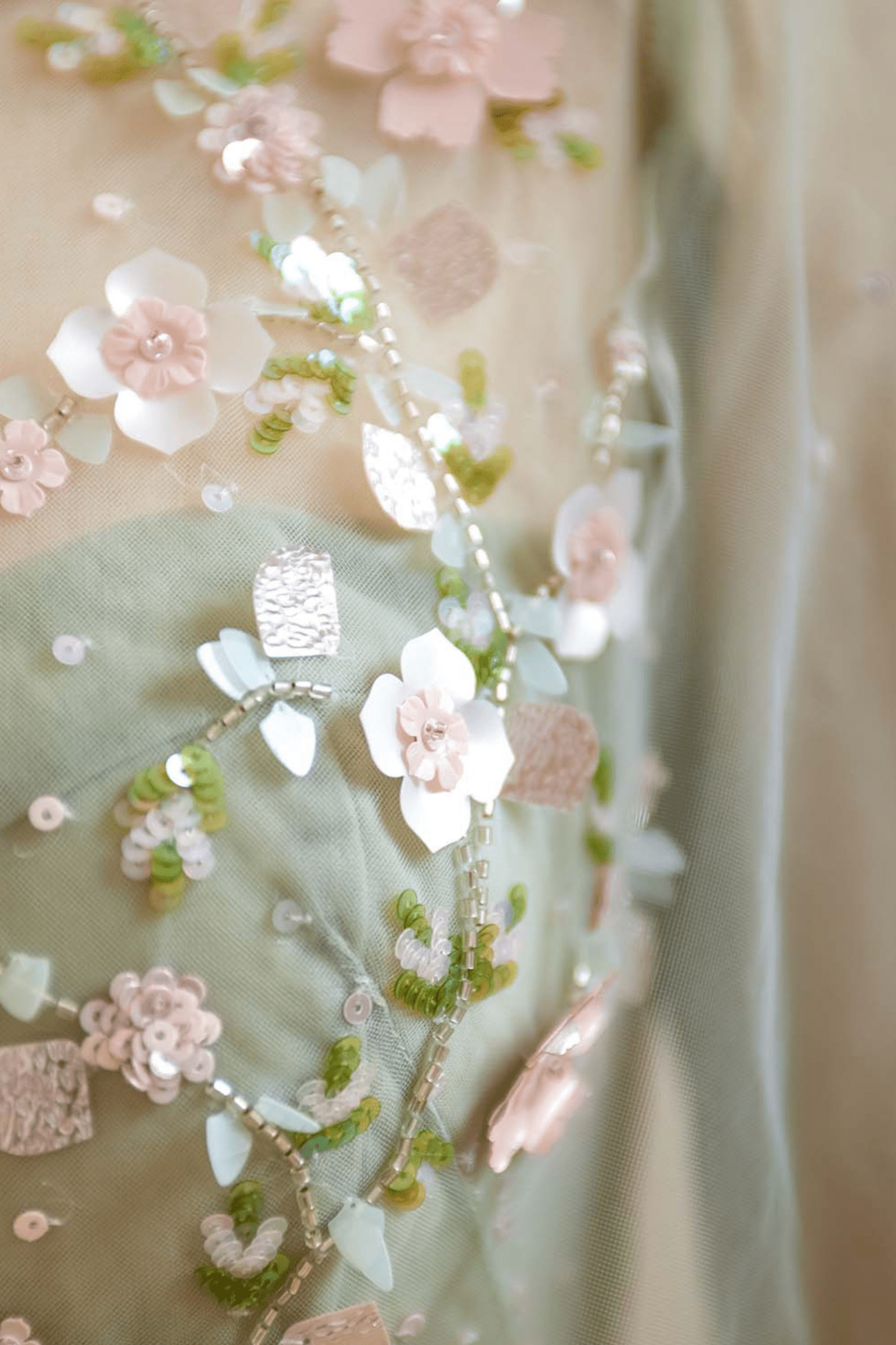 BLOSSOM DREAMS