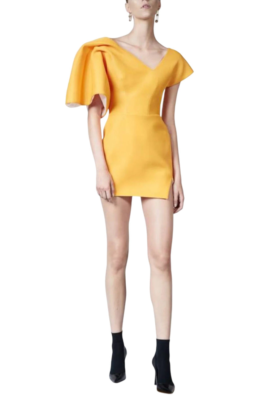 PEACOCK COCKTAIL DRESS
