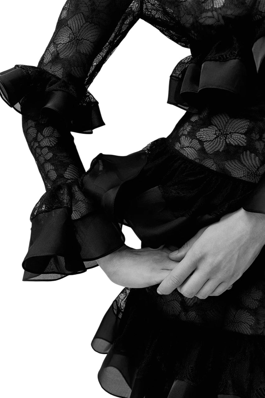 THE SWAN GOWN