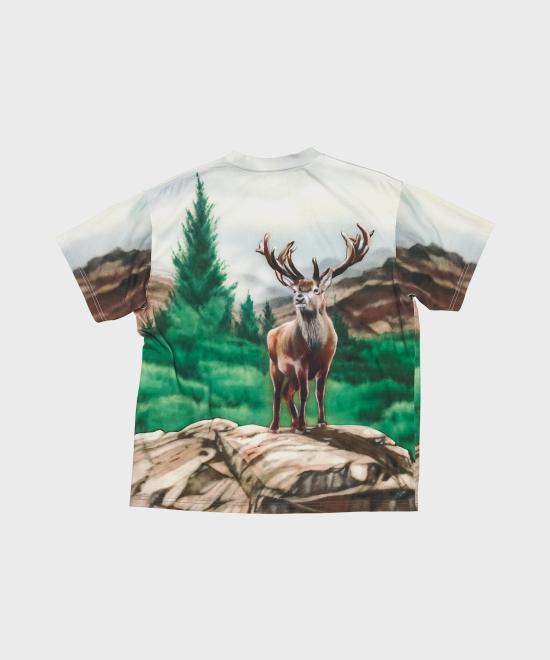Short -sleeved t -shirt