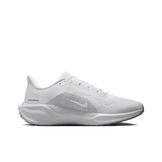 PEGASUS 41