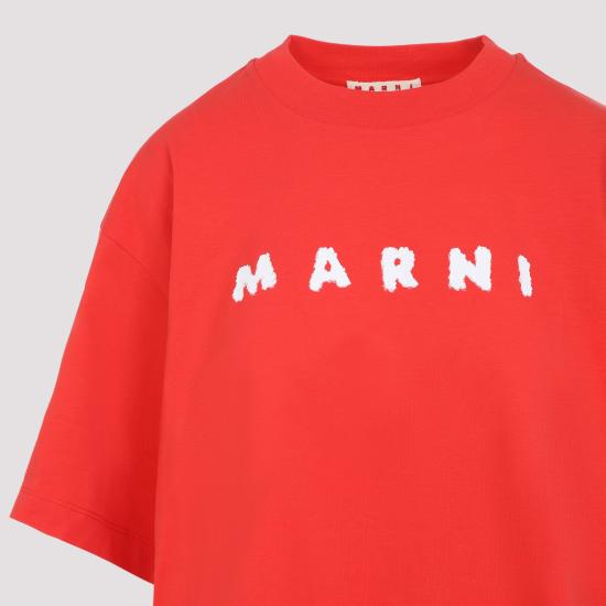 Short -sleeved t -shirt