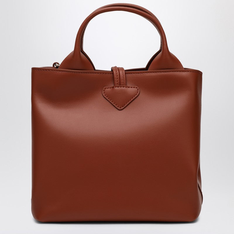 S Le Roseau Hobo Bag In Bark Colour