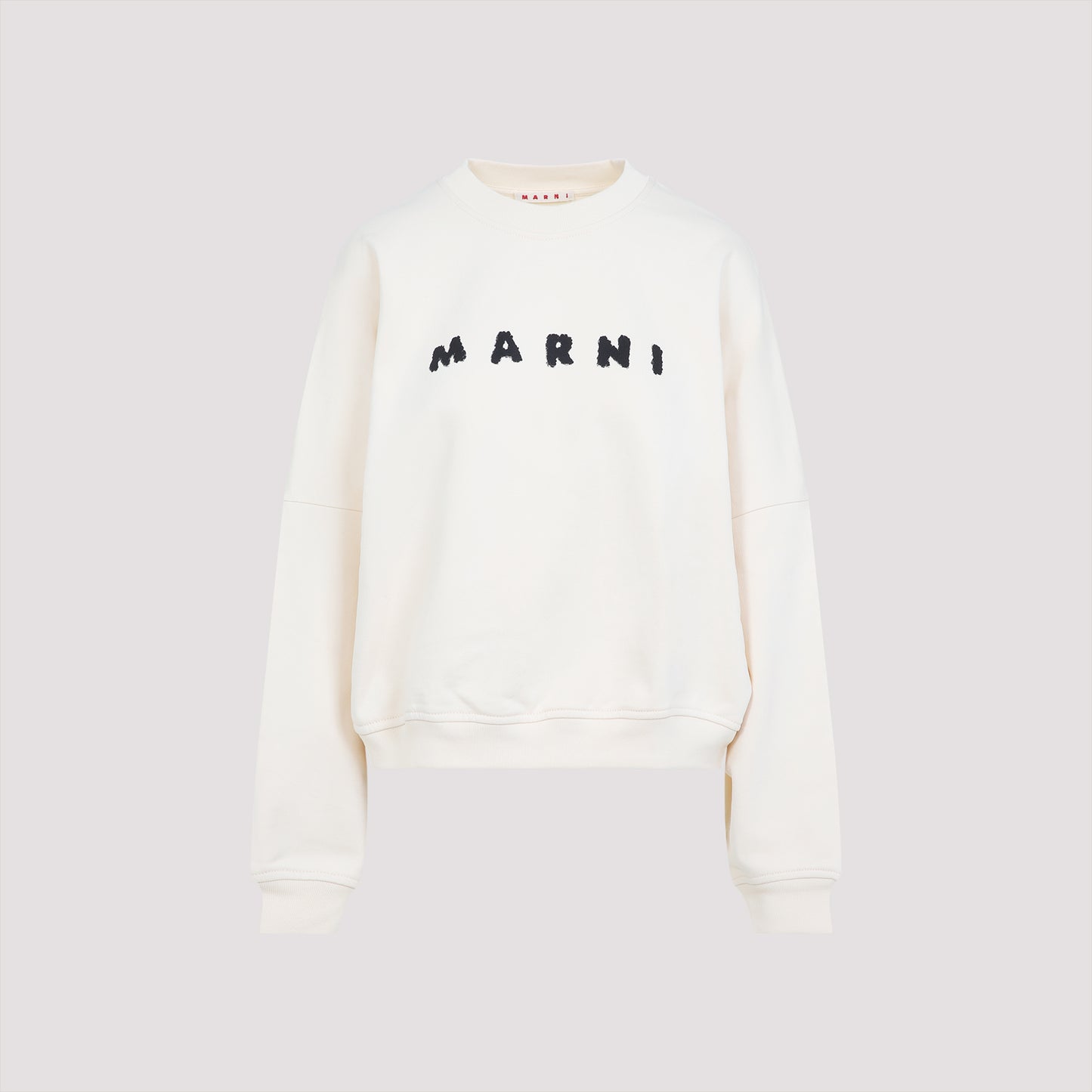logo sweatshirt-image-1