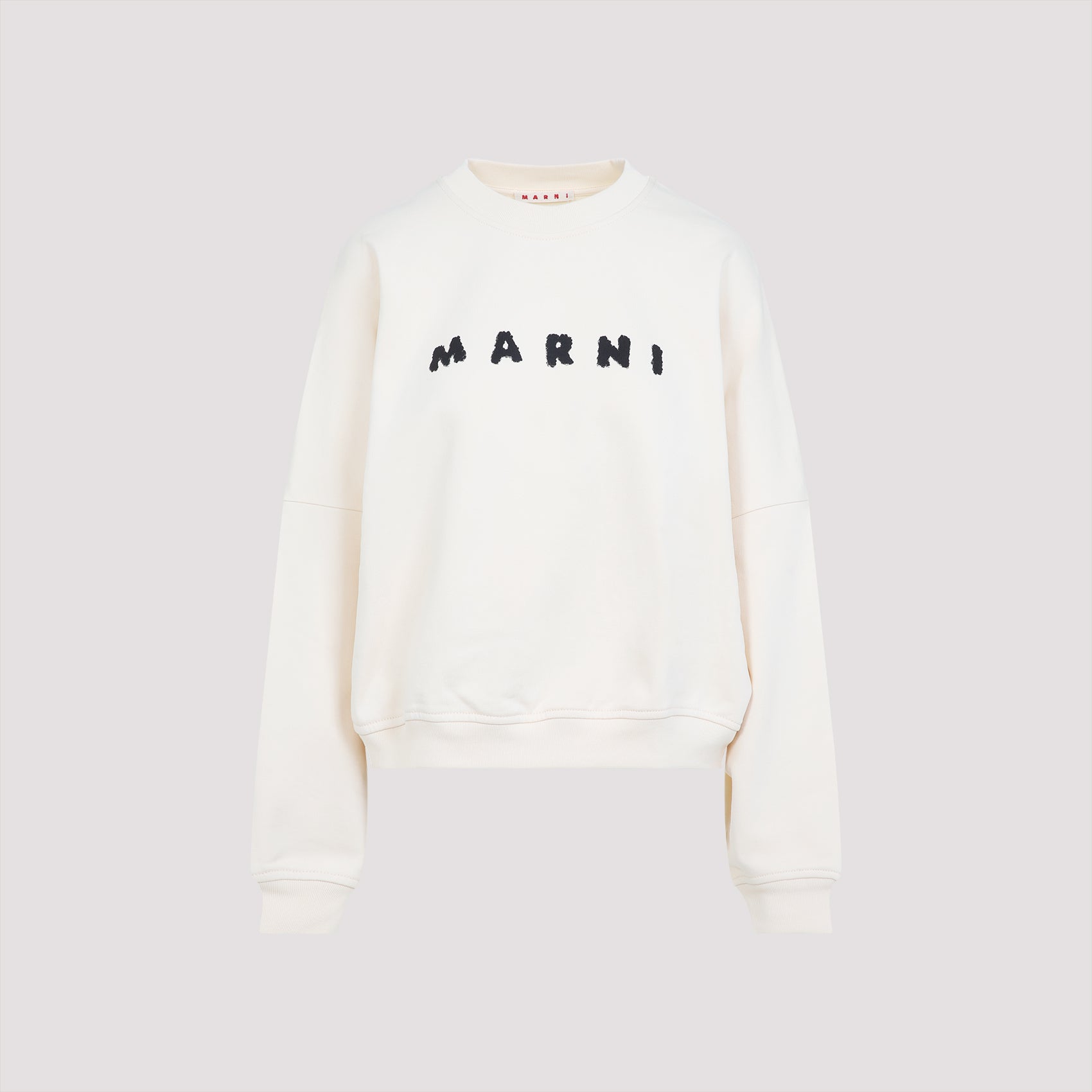 logo sweatshirt-image-1