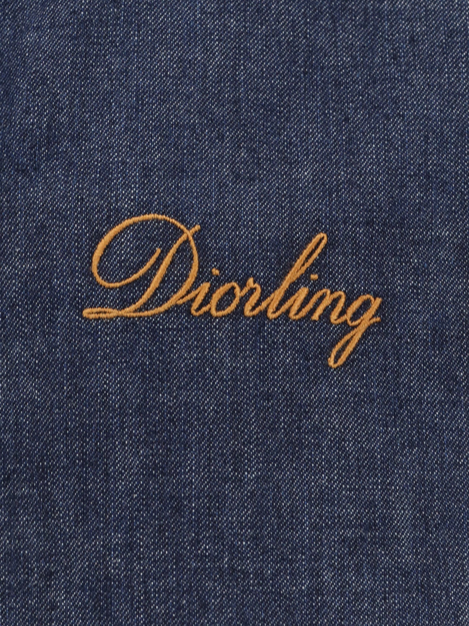 diorling-denim-jacket-543d586a3026-3