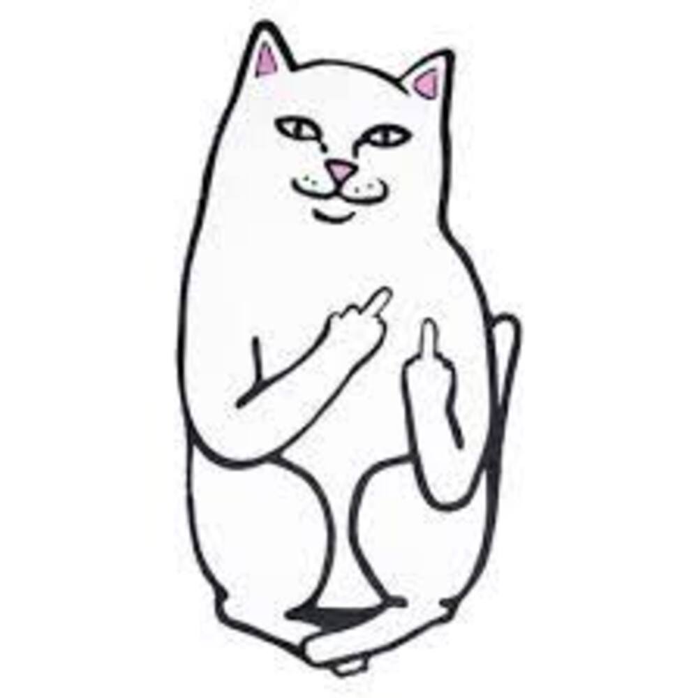 General Accessory Ripndip