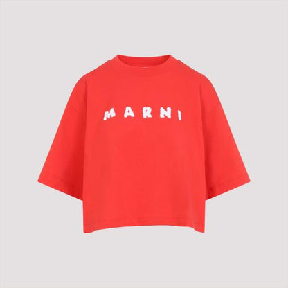 Short -sleeved t -shirt
