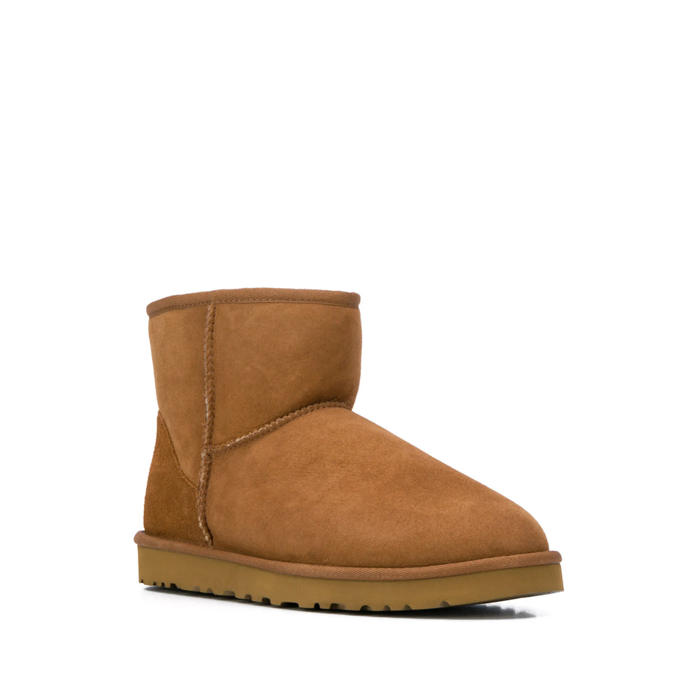 Shoe Ugg