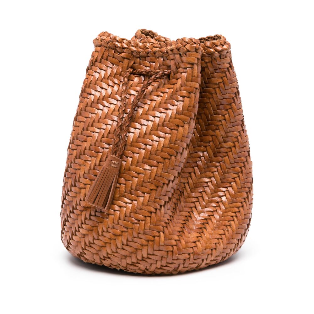 Bag Dragon Diffusion