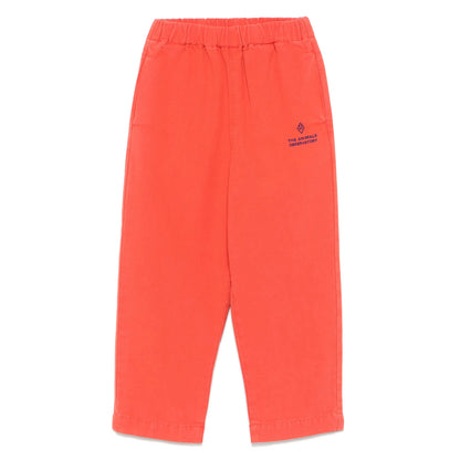 Pant The Animal Observatory