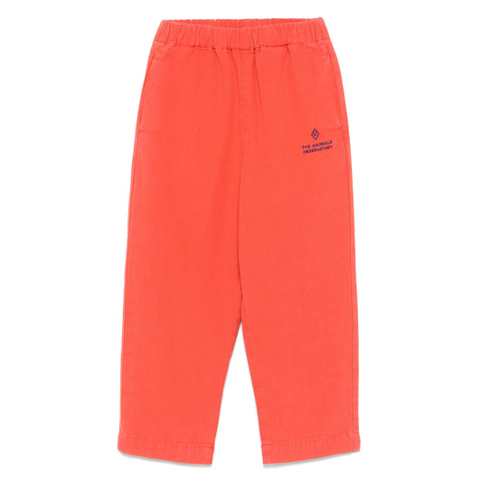 Pant The Animal Observatory