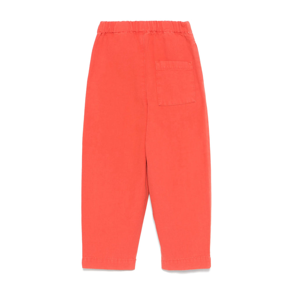 Pant The Animal Observatory