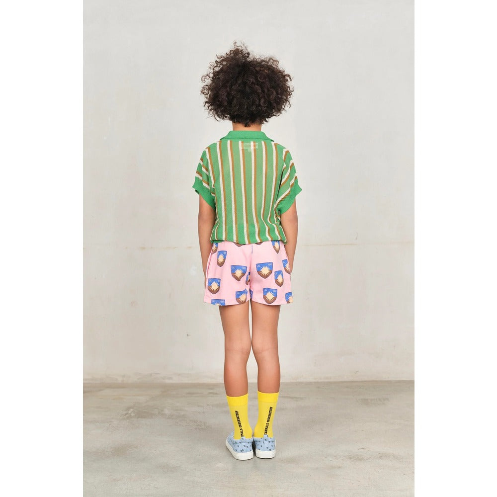 Sock The Animal Observatory