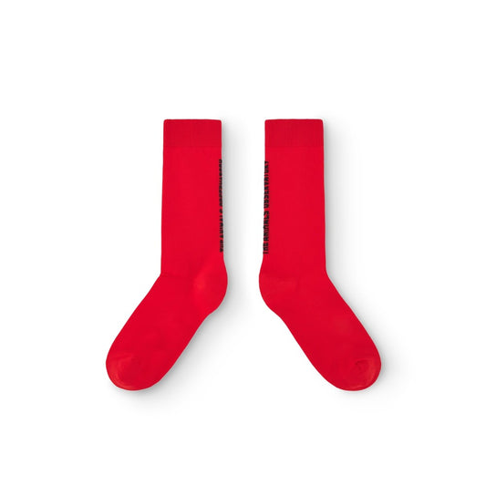 Sock The Animal Observatory