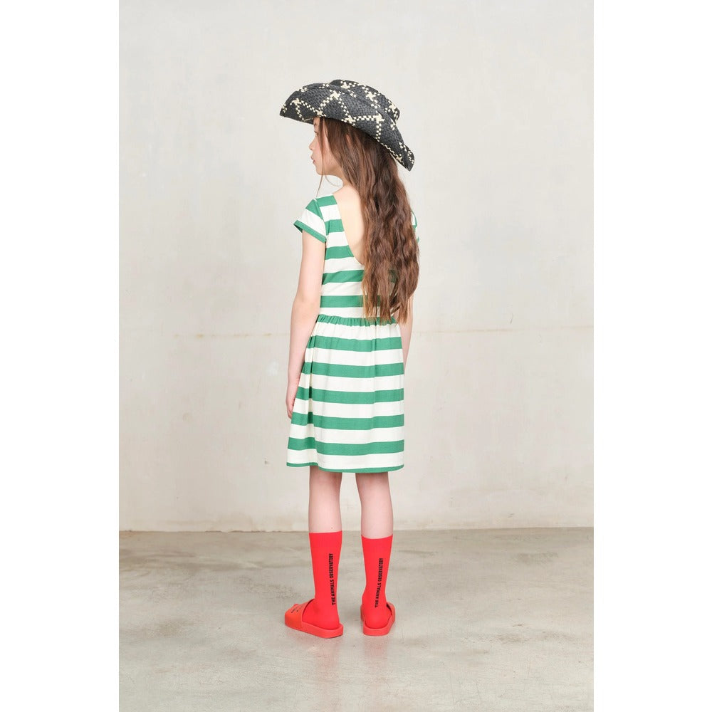 Sock The Animal Observatory