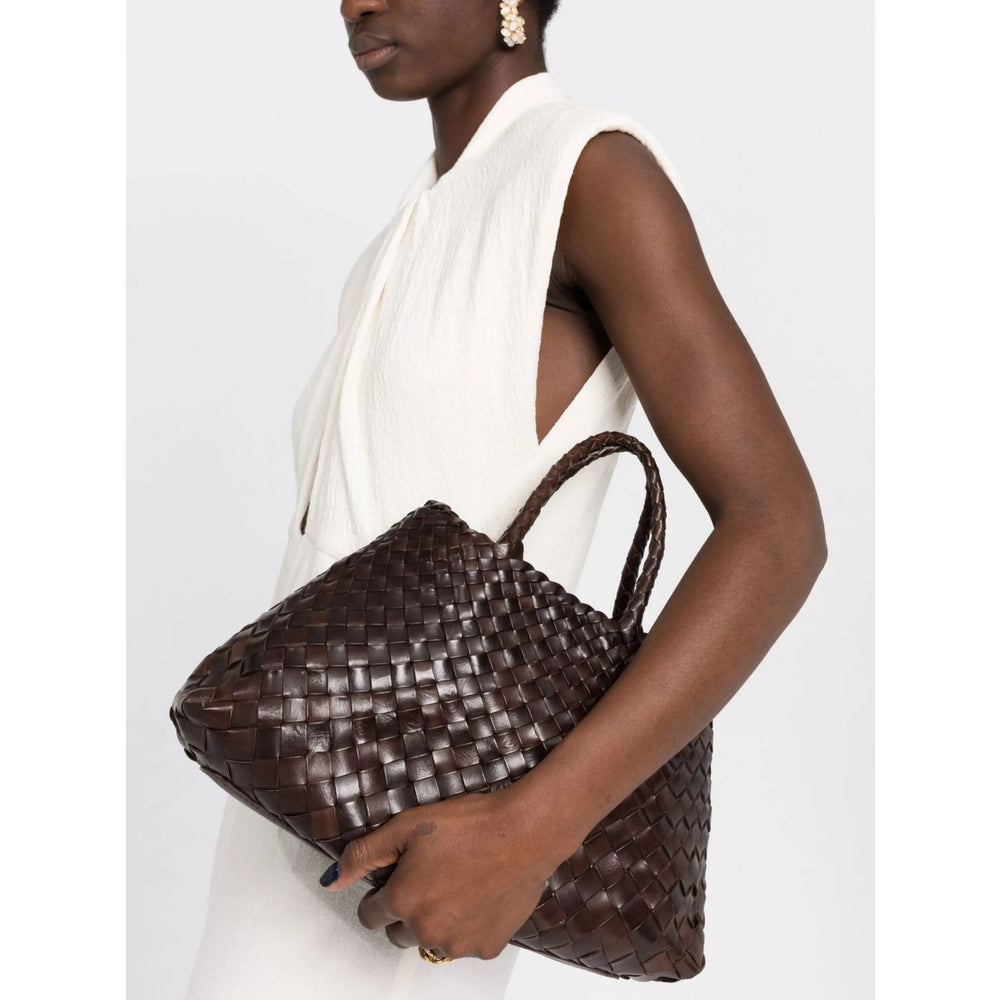 Bag Dragon Diffusion