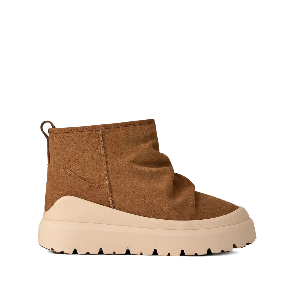 Shoe Ugg
