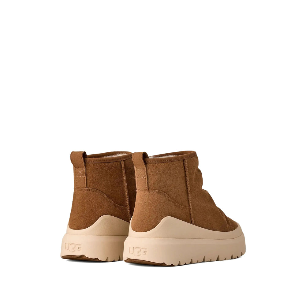 Shoe Ugg