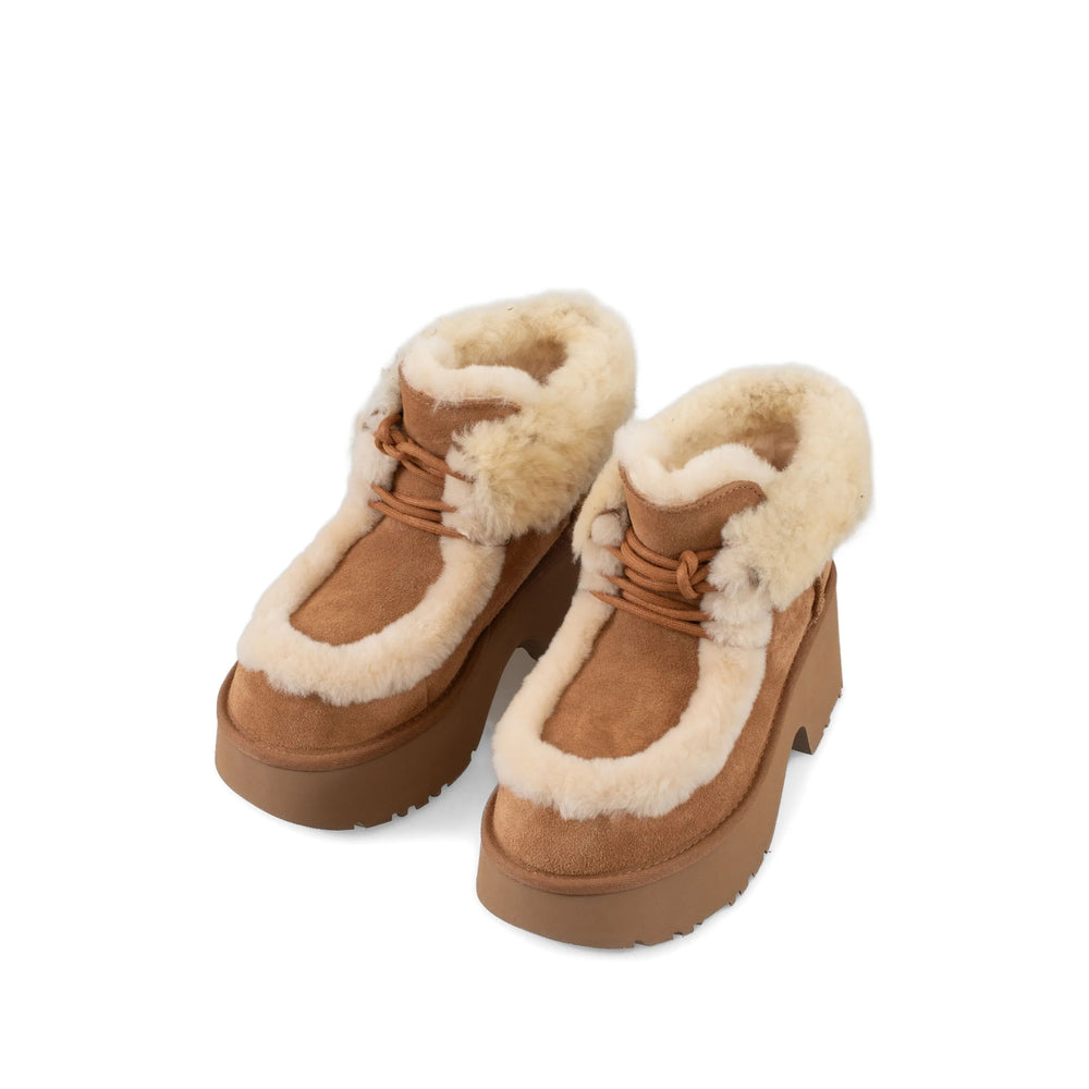Shoes Ugg