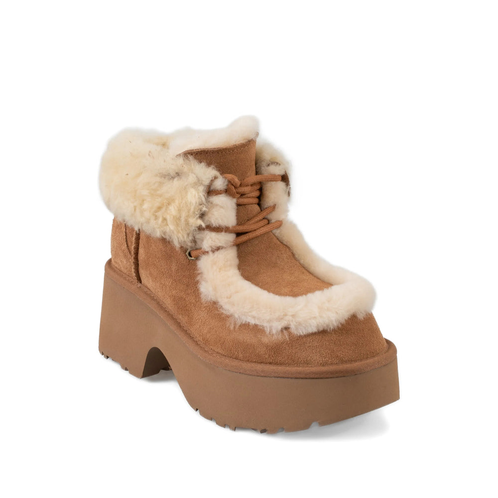 Shoes Ugg