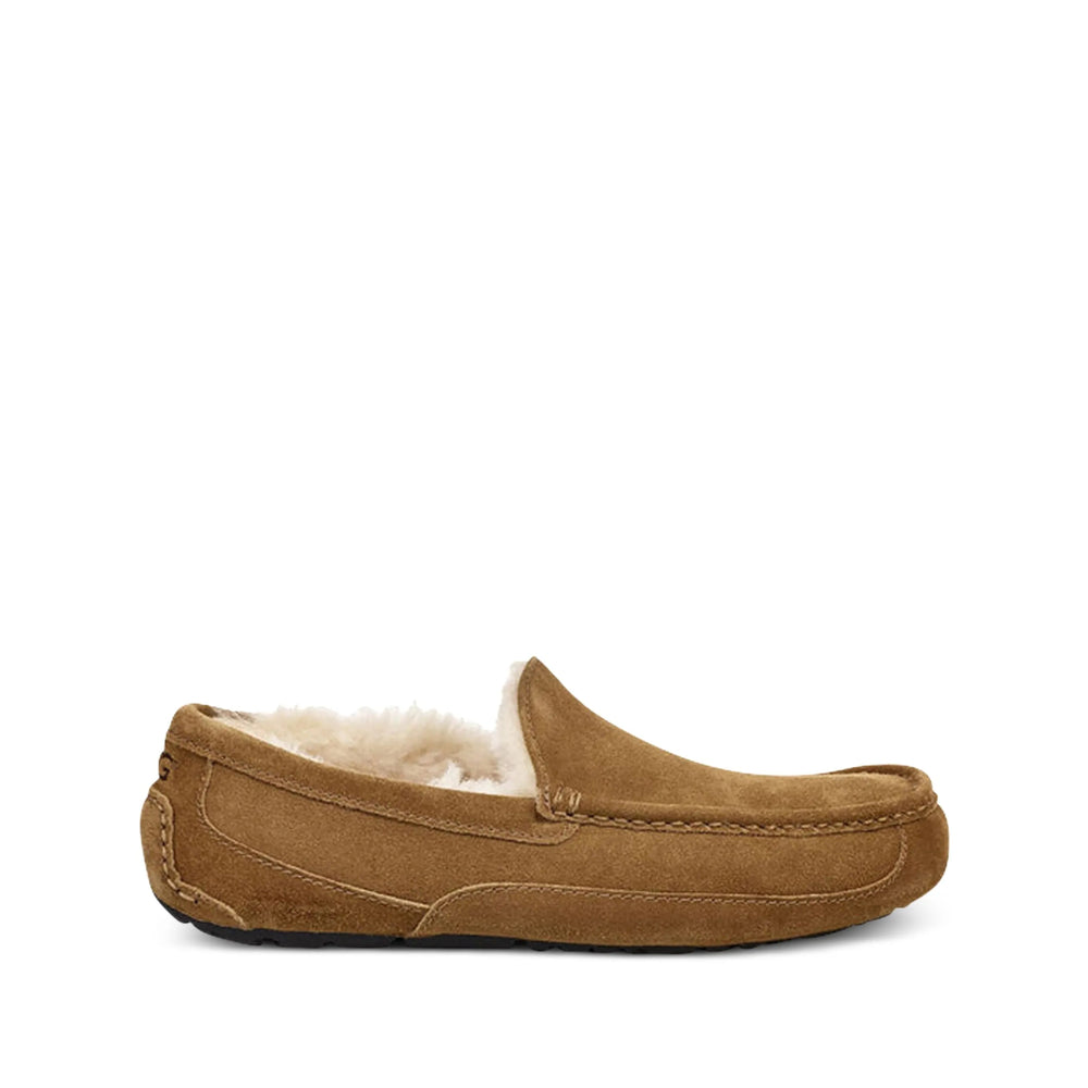 Shoe Ugg