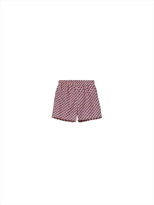 Swim Boxer
