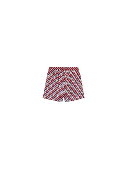 Swim Boxer