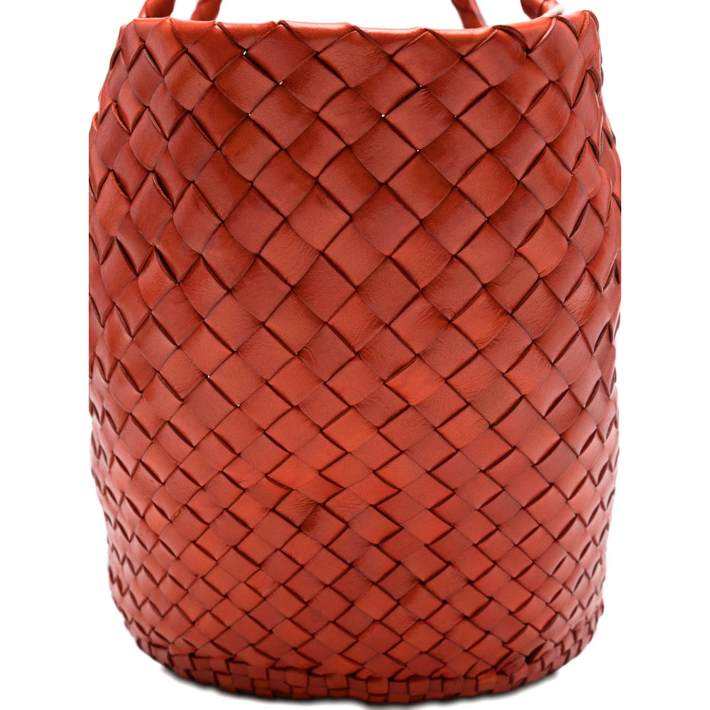 Bag Dragon Diffusion