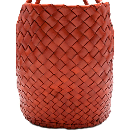 Bag Dragon Diffusion