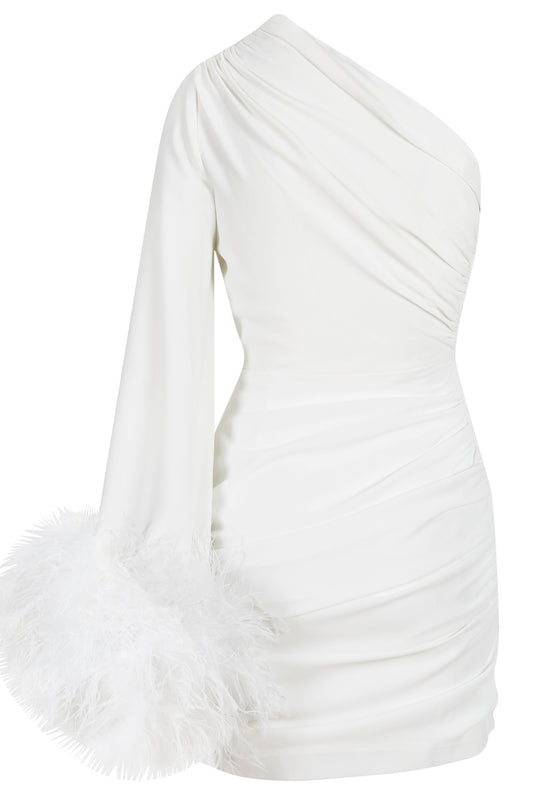 ADEN FEATHERED MINI DRESS