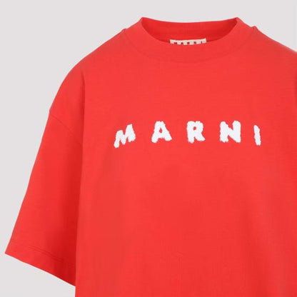 Short -sleeved t -shirt