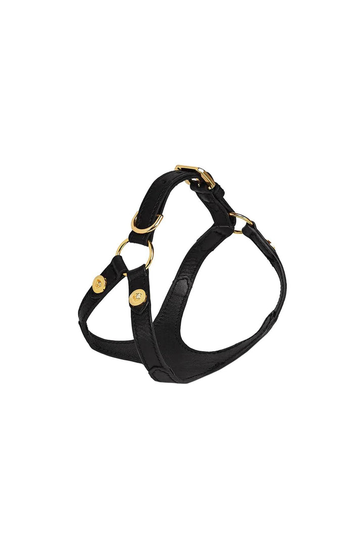NETDRESSED | VERSACE | LEATHER HARNESS WITH MEDUSA STUDS